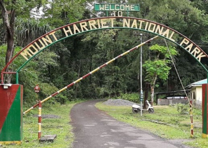 mount hariet_imresizer