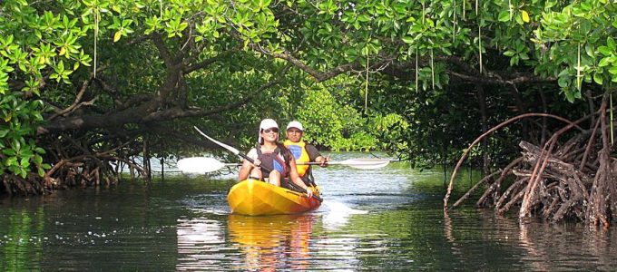 kayaking-in-havelock-island-andaman